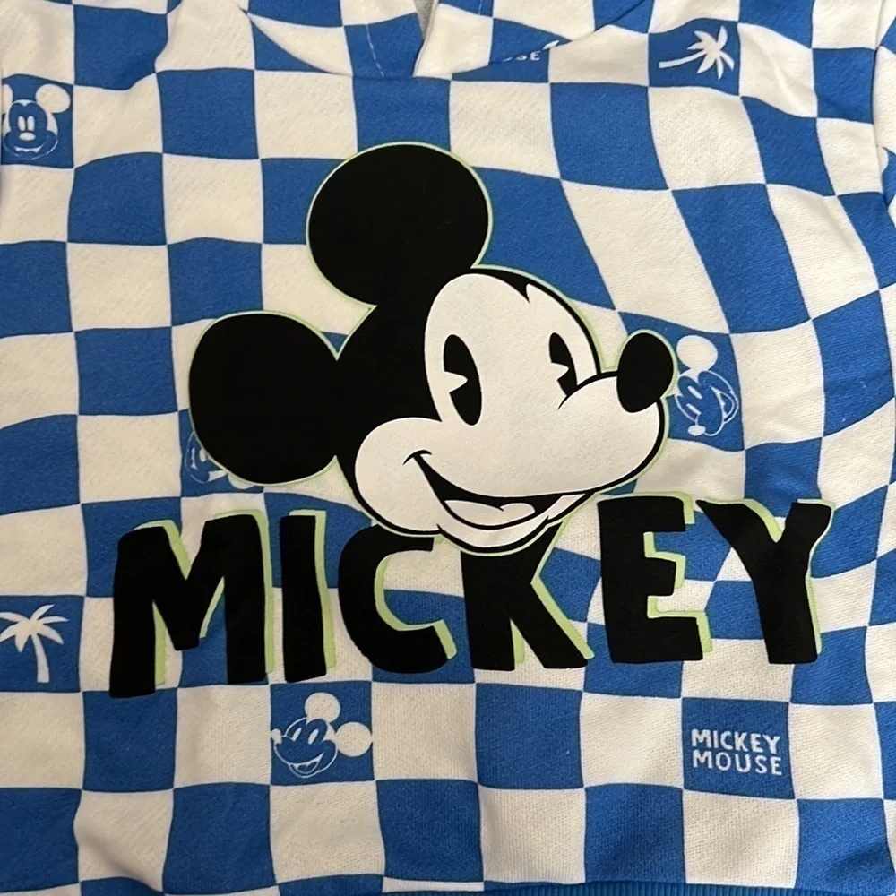 Zara Mickey Mouse Sweatshirt w/Hoodie